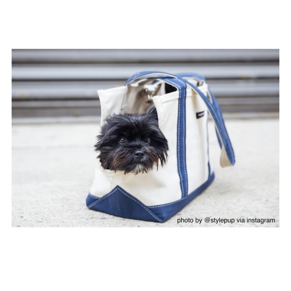 Wag Wear Dog Carrier / natural and blue